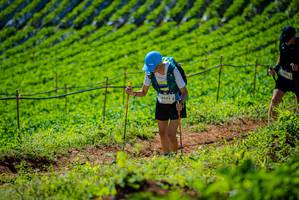 BIB: 9443
                            <button type="button" onclick="openModal(19162303)" class="btn btn-primary btn-sm float-right btn-popup" data-toggle="modal" data-target=".modal-high-quality">
                        <i class="fas fa-shopping-cart"></i> Add to Cart
                    </button>
                                            <button type="button" onclick="isThisMe(19162303, true)" class="btn btn-success btn-sm float-right btn-popup btn-isme hidden" data-toggle="tooltip" data-placement="bottom" title="นี่คือรูปของคุณใช่ไหม คลิกที่นี่เพื่อเอาเข้าอัลบั้ม">
                        <i class="fas fa-plus"></i> Add to album
                    </button>
                    <button type="button" onclick="isThisMe(19162303, false)" class="btn btn-warning btn-sm float-right btn-popup btn-isnotme hidden">
                        <i class="fas fa-ban"></i> Remove from album
                    </button>